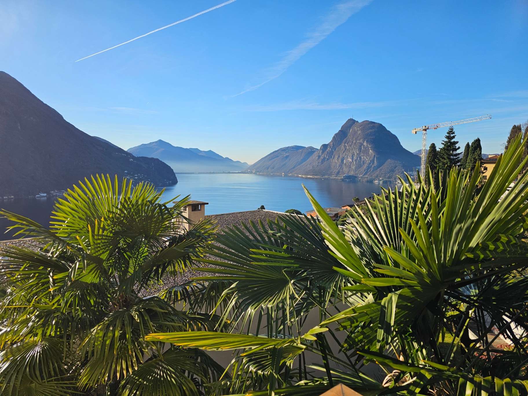 Lago Ceresio con il Monte San Salvatore visto da una terrazza con palme
